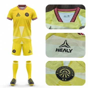 Healy Sportswear Men Soccer Wear Customized Youth Soccer Jersey With Logo and Numbers Sublimated Soccer Uniforms