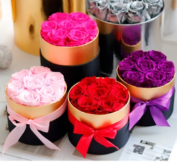 Wholesale Preserved Flowers for Christmas Forever Roses Preserved Flower Forever Long Life Eternal Preserved Rose Box