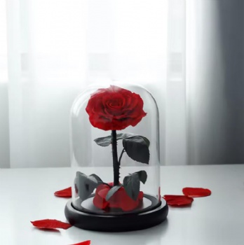 Wholesale Christmas Valentine's Day Eternal Forever Roses with Stems Preserved Flower Real Natural Preserved Roses in Glass Dome