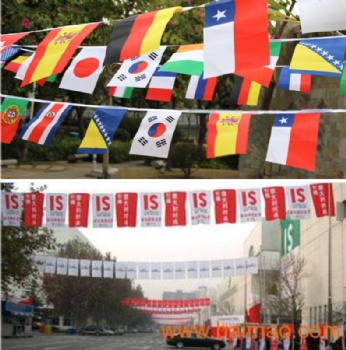 OEM ODM Best Quality Custom Polyester Fabric Pennant String Flag Triangle Bunting Banner for Celebration Decoration